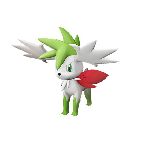 shaymin|shaymin céleste.